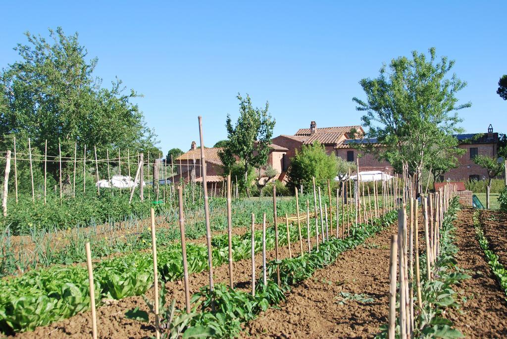 Agriturismo Le Torri Di Porsenna Petrignano Del Lago Extérieur photo
